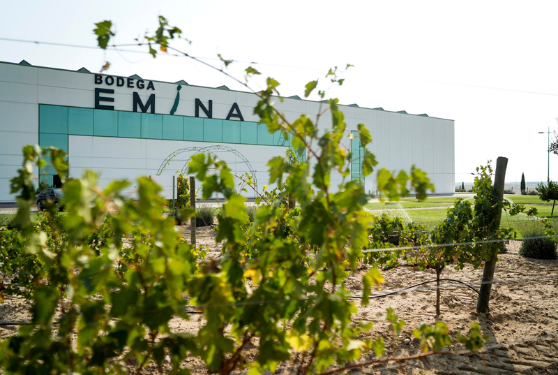 Bodegas en Valladolid: Bodegas Emina Rueda