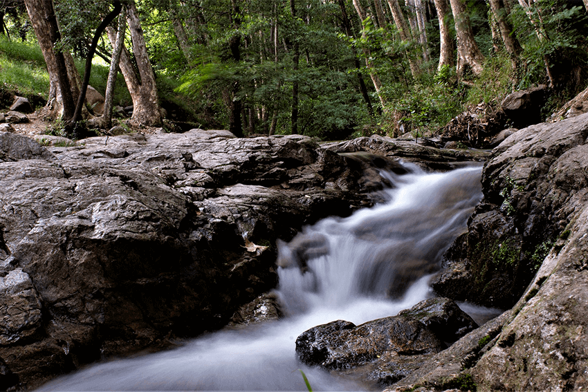 que-ver-cerca-de-barcelona: Montseny