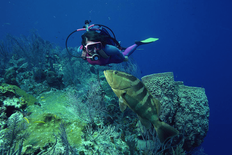 que-hacer-en-granada: Bautismo de buceo